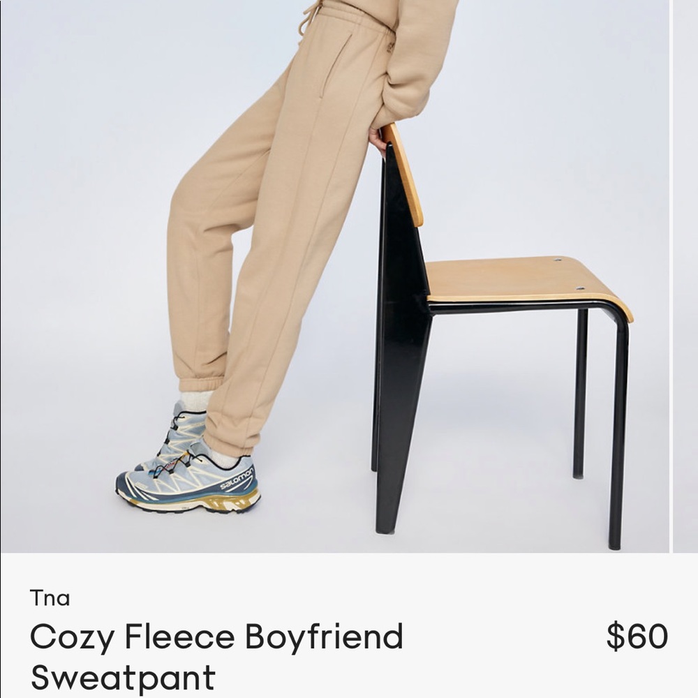 Aritzia fleeced jogger sweatpants